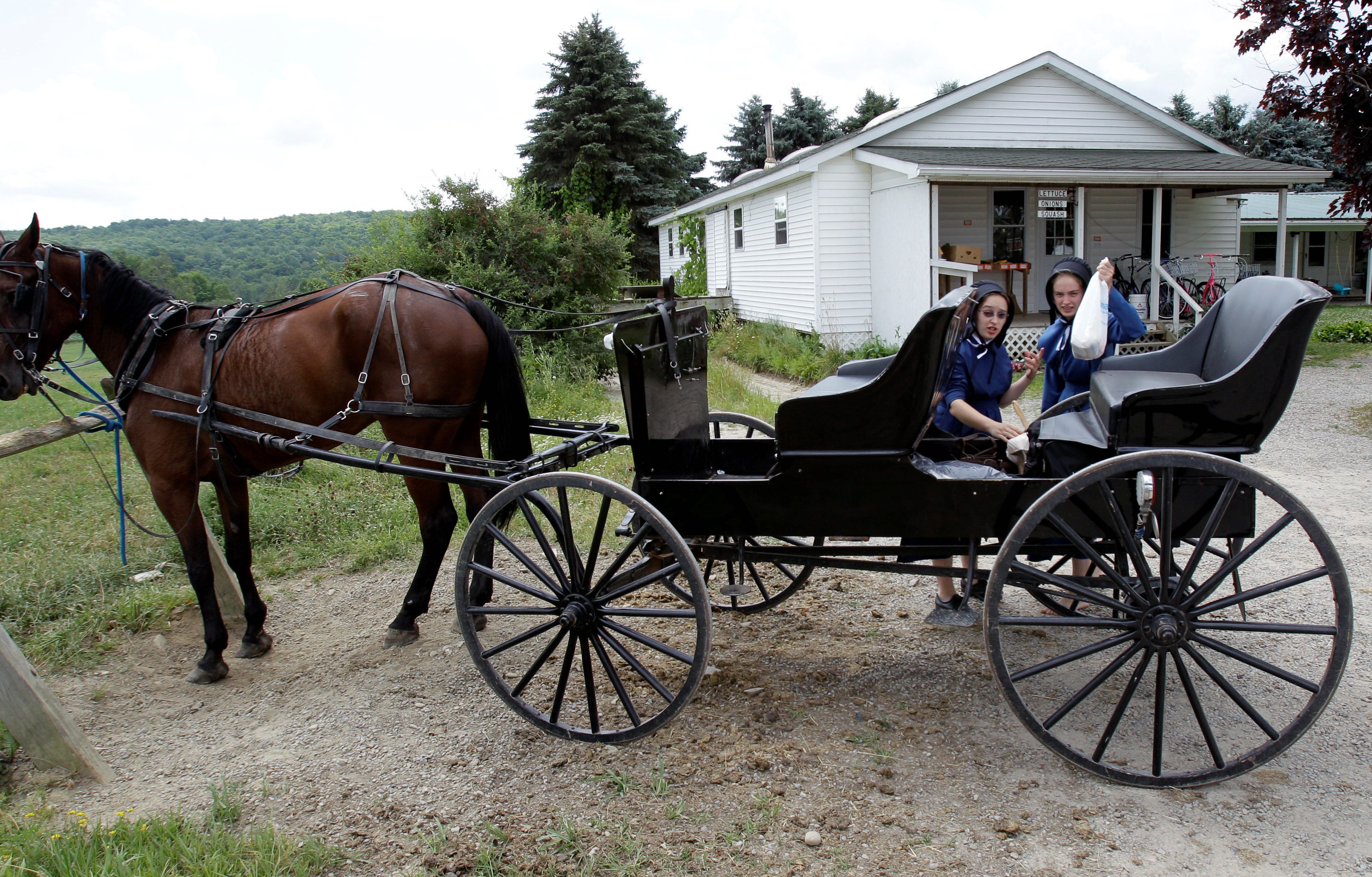 Amish culture in a high tech society