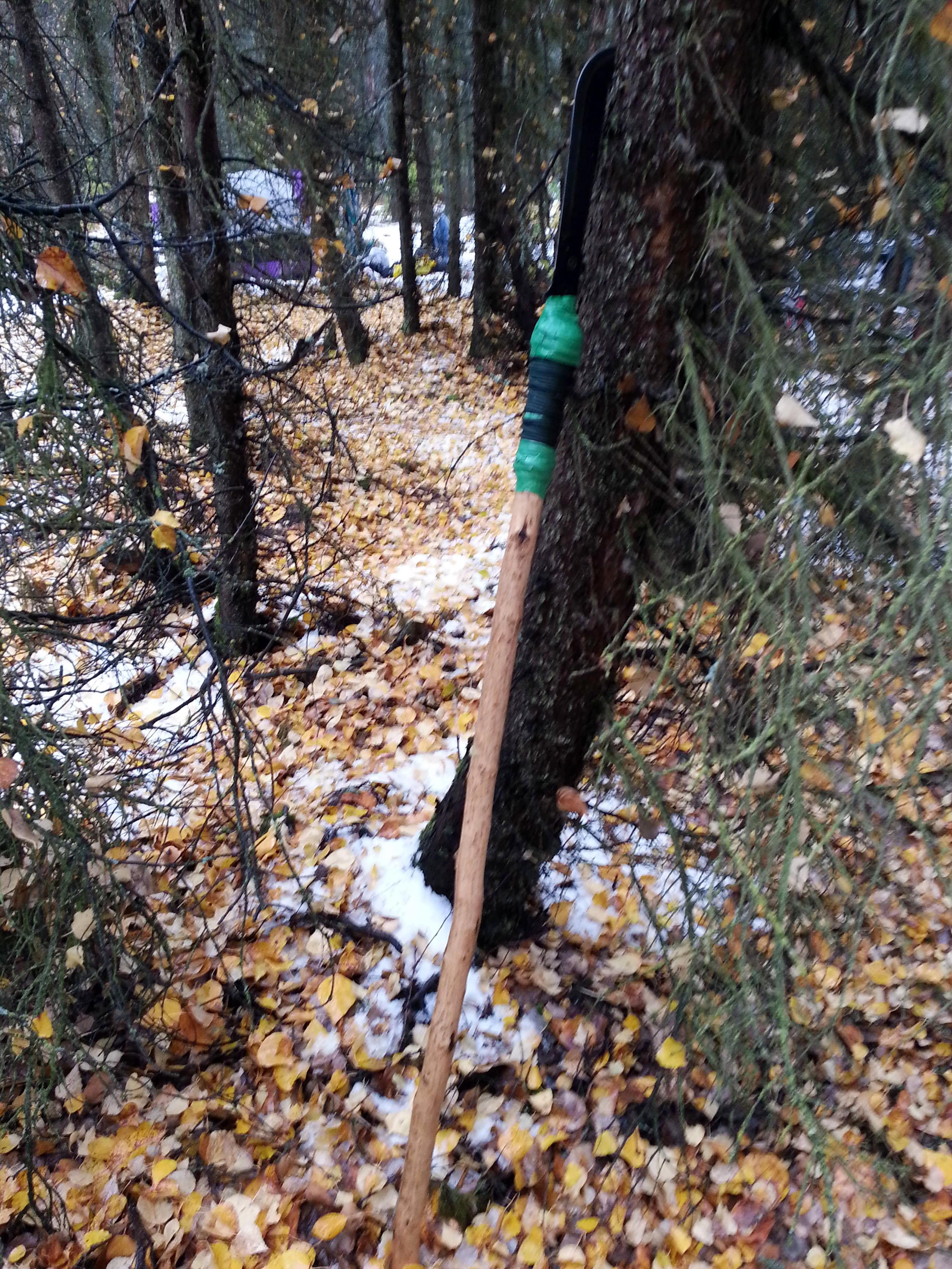 Anchorage, Alaska, considers paying homeless people to clean up their own camps - Washington Times